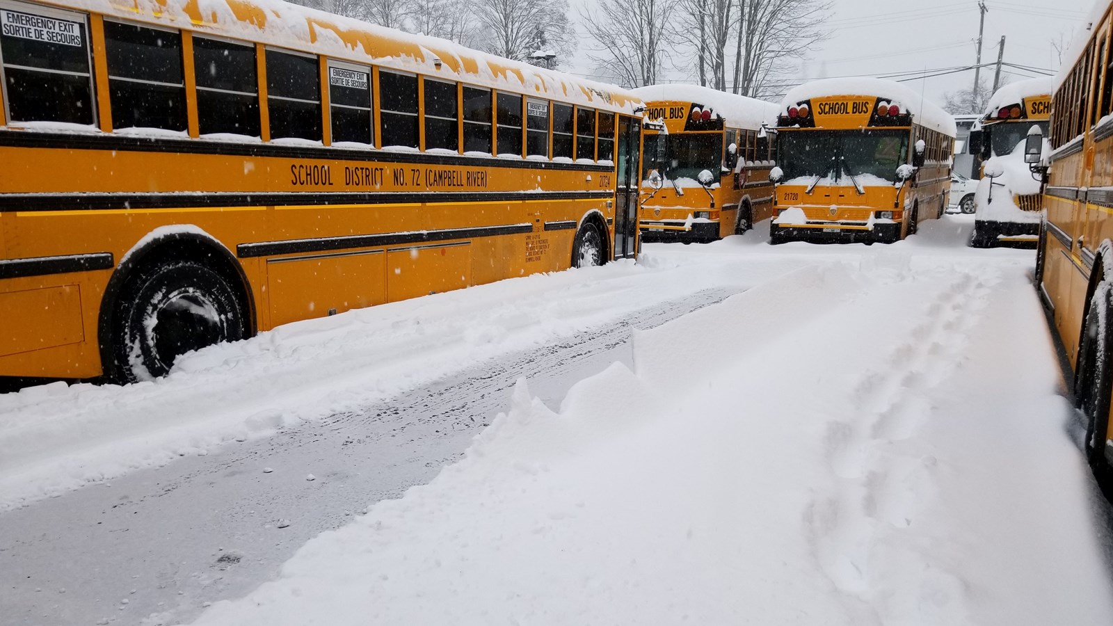 SD72 buses snowed in at the maintenance yard.